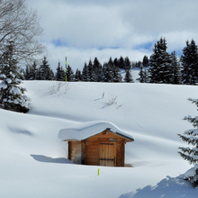 SÉMINAIRE ANNUEL COURCHEVEL