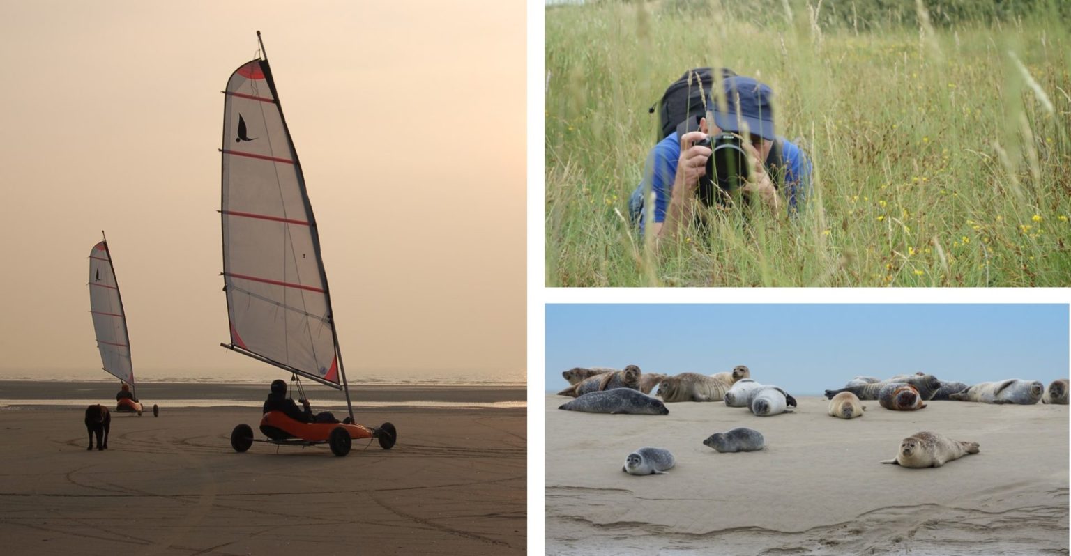 INCENTIVE NATURE EN BAIE DE SOMME