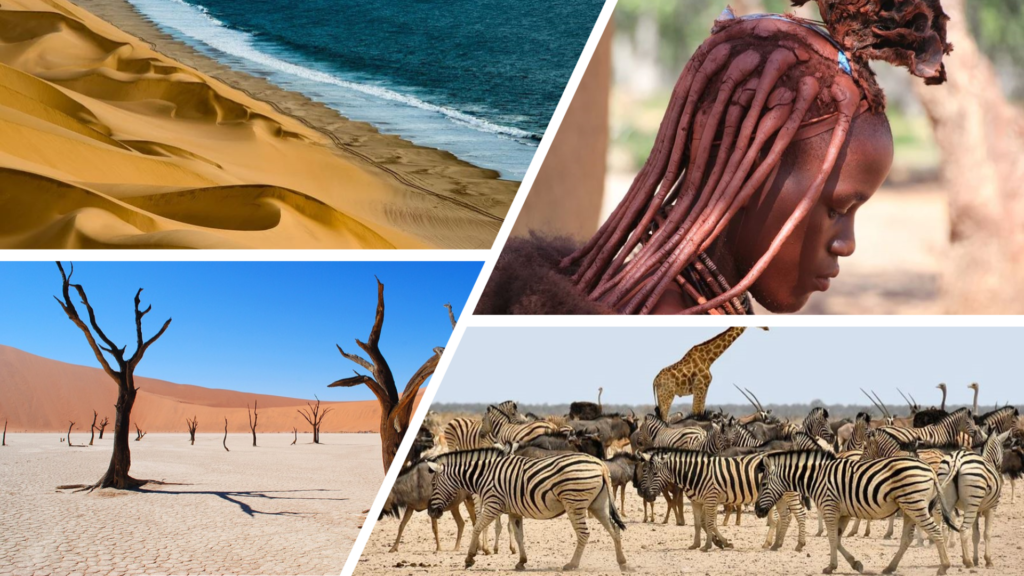 VOYAGE INCENTIVE NAMIBIE