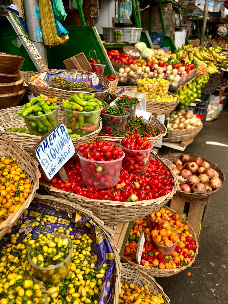 voyage incentive au brésil